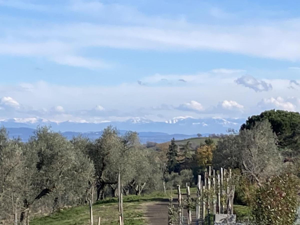 Alojamento de Turismo Rural Paladini Montefiascone
